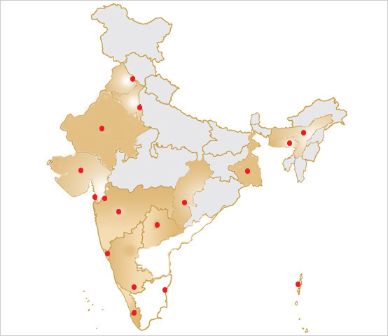 Domestic Distribution - Explore